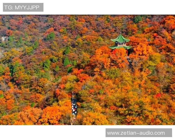 秋日美景里应战自我 千名选手奇游云台山